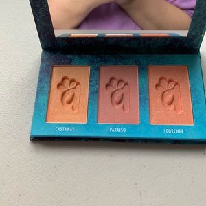 Brand New Alamar Blush Palette